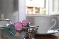 Nerio Apartman